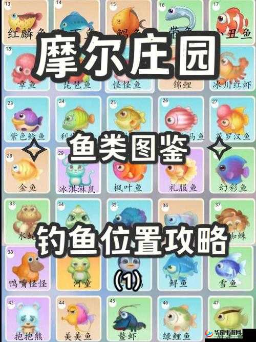 摩尔庄园钓鱼：好处多多，用途全面大盘点