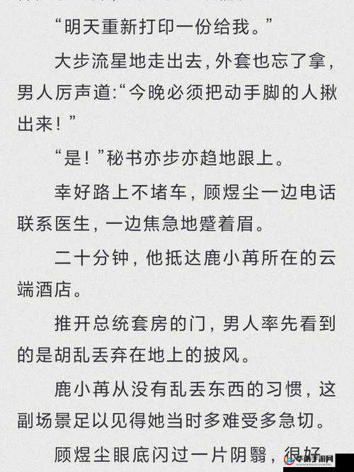 总裁的心头宝 1V1 已发布完整版资源：先婚后爱，霸总追妻火葬场