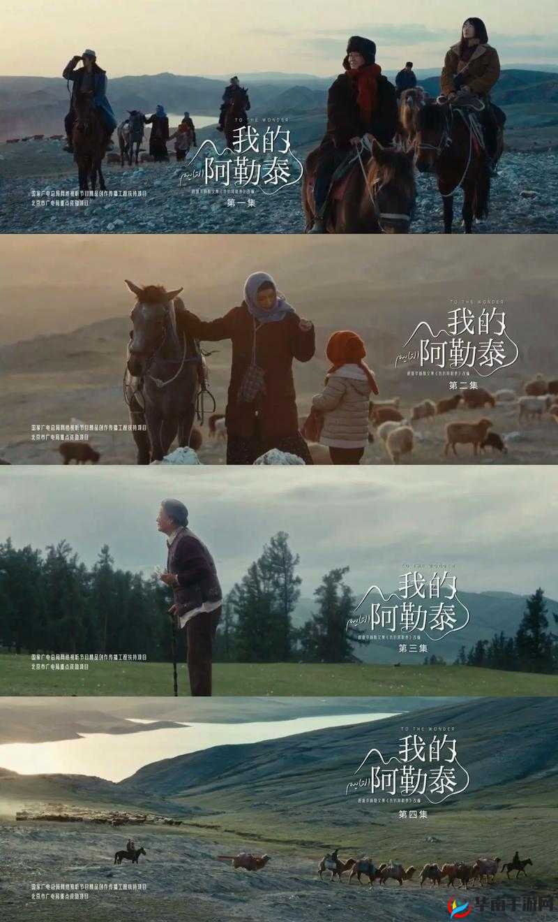 《跑马圈地：策略分析与屏蔽其他玩家的智慧》