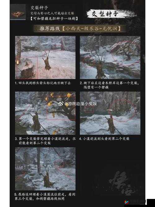 艾尔登法环DLC祷告远方之怒获取攻略：详细指南教你如何获取远方之怒技能