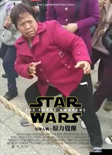 多毛老太太：一段不寻常的故事
