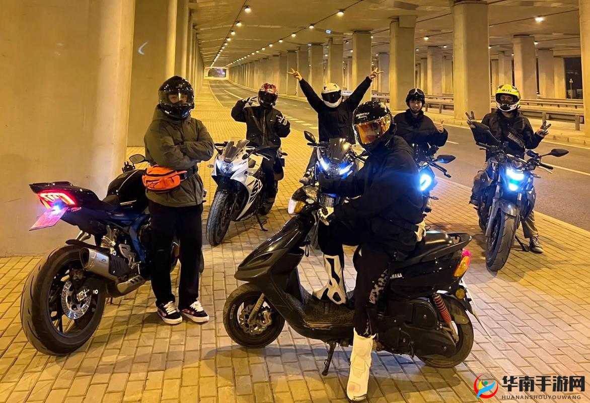 免费黡色视频：探索未知的激情世界