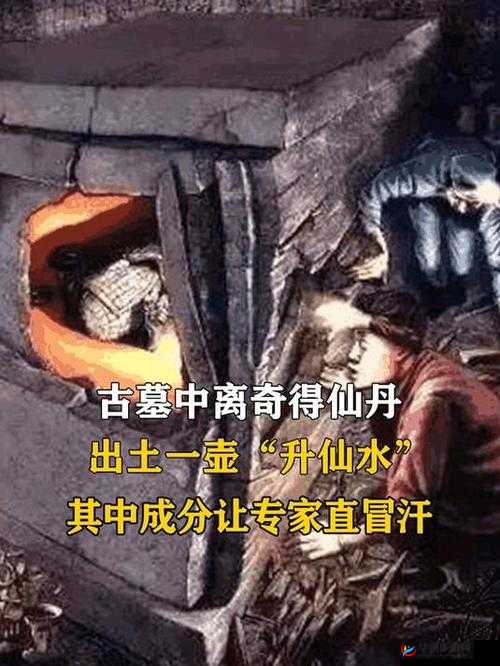 神奇仙丹的秘密获取之旅及其效用研究：走向无尽的智慧与力量之源