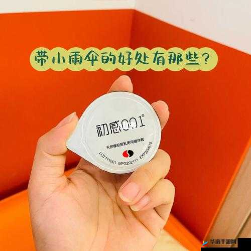 小雨伞是什么意思：探寻其背后的含义