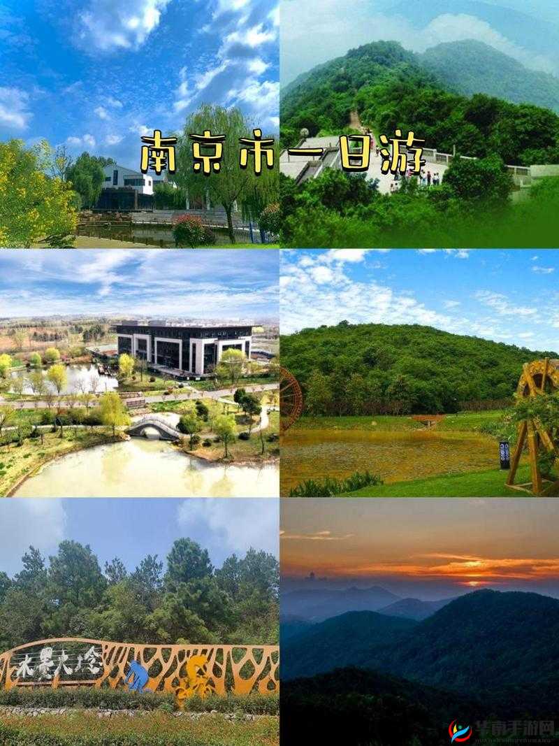 酒色社区：精彩内容等你来探索