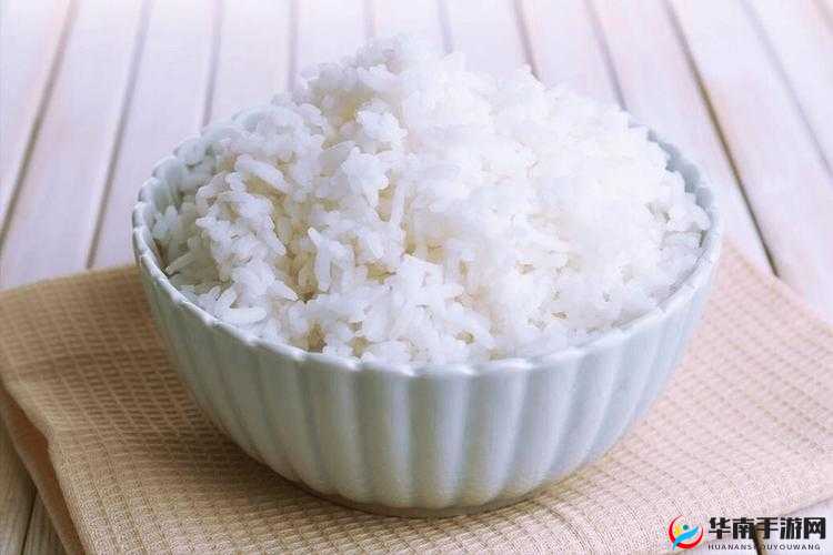 悠悠江湖，米饭飘香：极品神品米饭秘籍