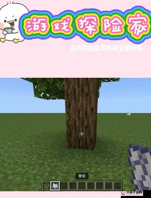 我的世界海带获取攻略：采集方法与地点解析