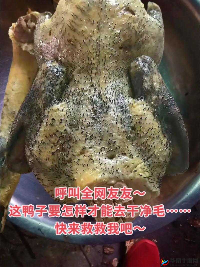 妈妈你真棒插曲：温馨旋律中的母爱颂歌