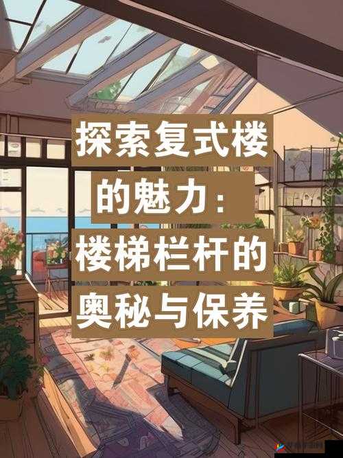 楼梯间的快乐你无法想象：探究其奥秘