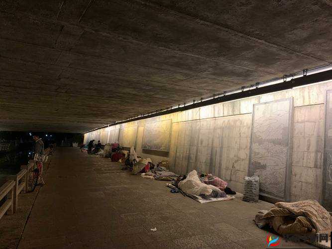 流浪汉突然拉我进桥底，接下来会发生什么