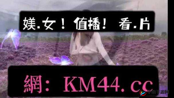 无线乱码 A 区 B 区 C 区 D：探索未知区域