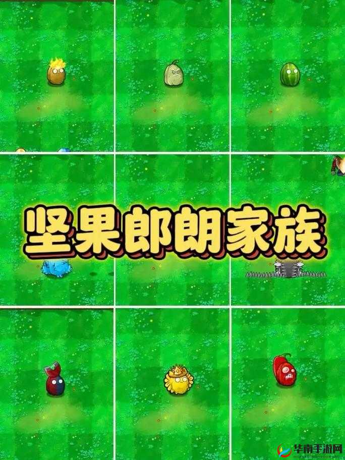 91 轻量版最新版苹果手机版：超越想象的手机助手