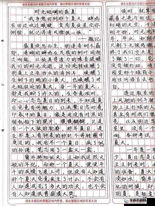 高中玩具小诗的日记：青春时光的独特记录