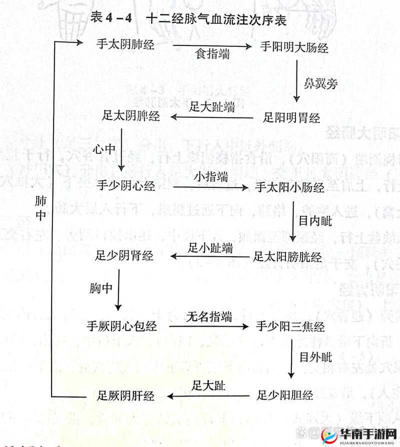 天龙部3D和尚经脉攻略：低V玩家的经脉选择与成长策略指南