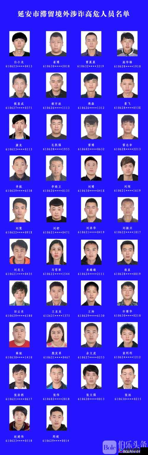 缅北北部血腥 2024 黑网：揭秘网络背后的罪恶