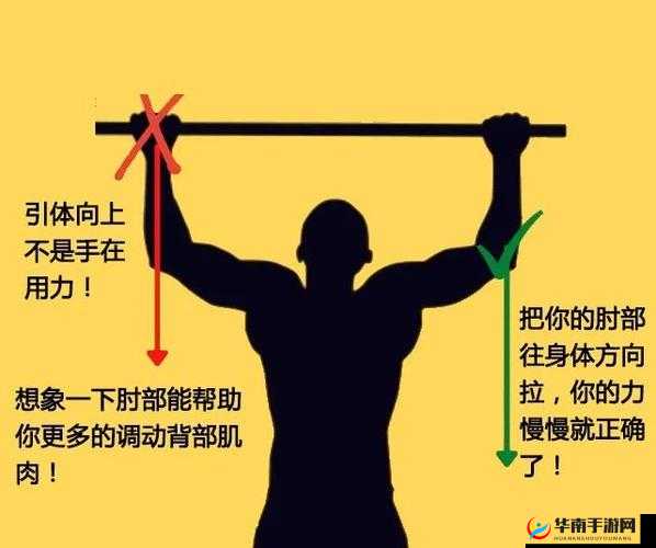 炙热 by 引体向上：挑战自我的力量训练