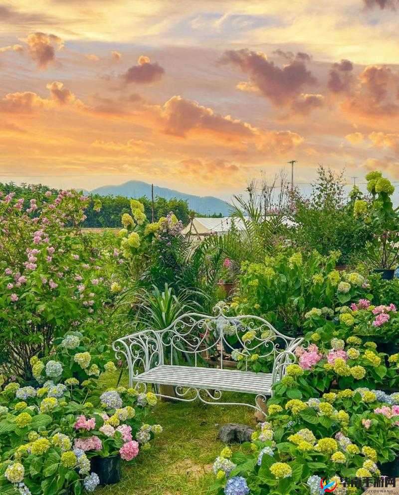 现实交错花园，下周华丽开启