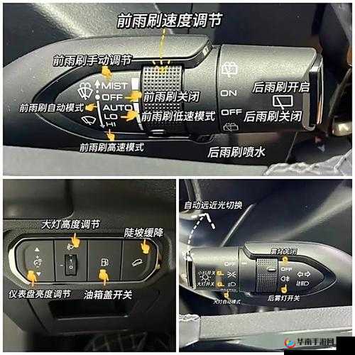 龙之力量游戏界面按钮操作指南详解：从入门到精通的步骤解析