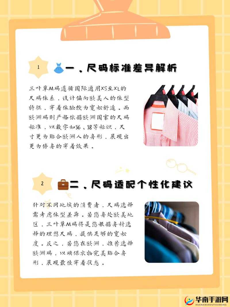 三叶草 M 码与欧洲码的区别分析