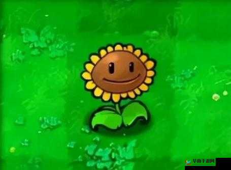 植物大战僵尸 2 图鉴：向日葵，阳光的生产者