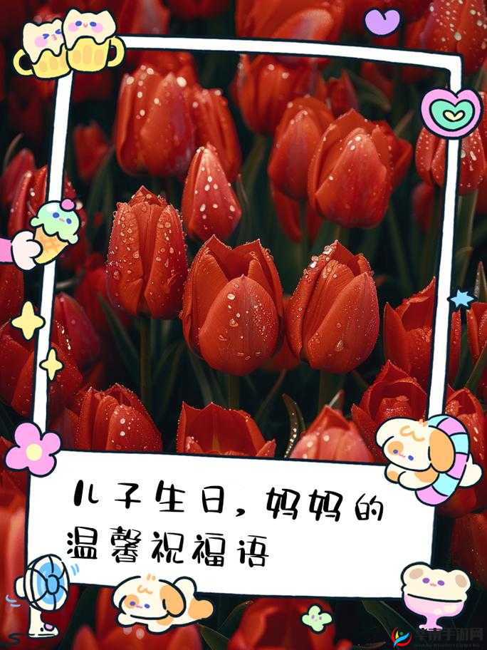 海角妈妈过生日：温馨时刻的到来