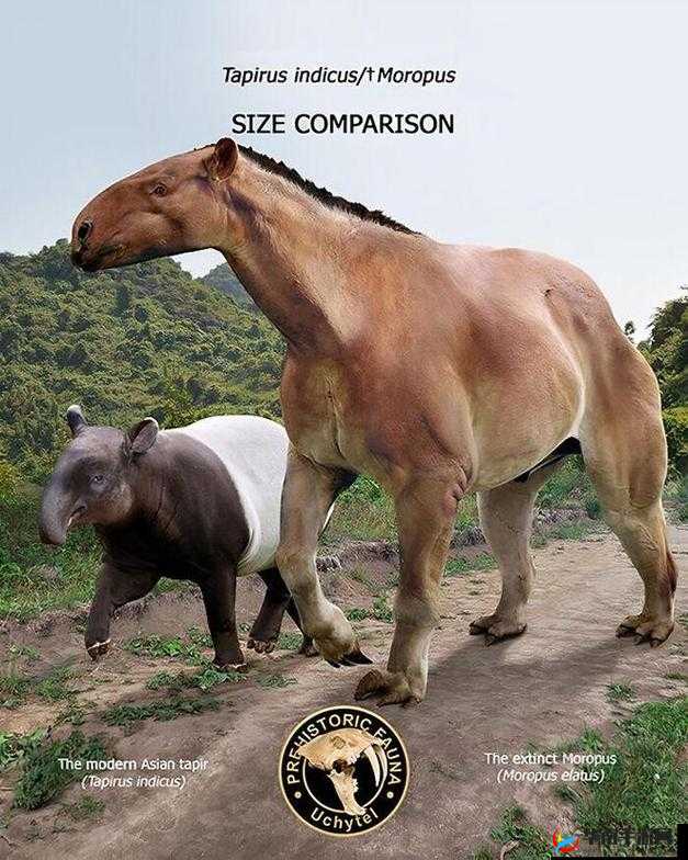 人马畜禽company 最新：探索动物与科技的融合