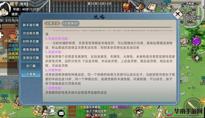 仙宠灵技：高级技能全解析