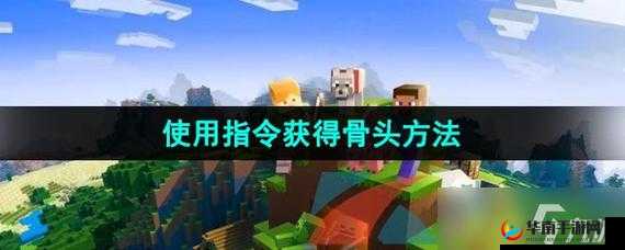 《晴天小狗赚钱攻略：全面解析如何高效获取骨头方法》