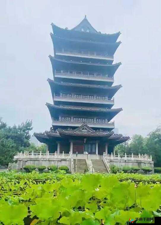 清风阁我爱干在线观看：精彩内容不容错过