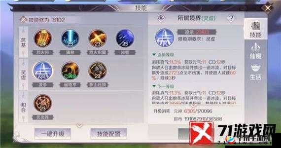 《神魔之战》夜刃豹攻略：野兽突袭的全面战术指南，深度解析技能搭配与实战策略
