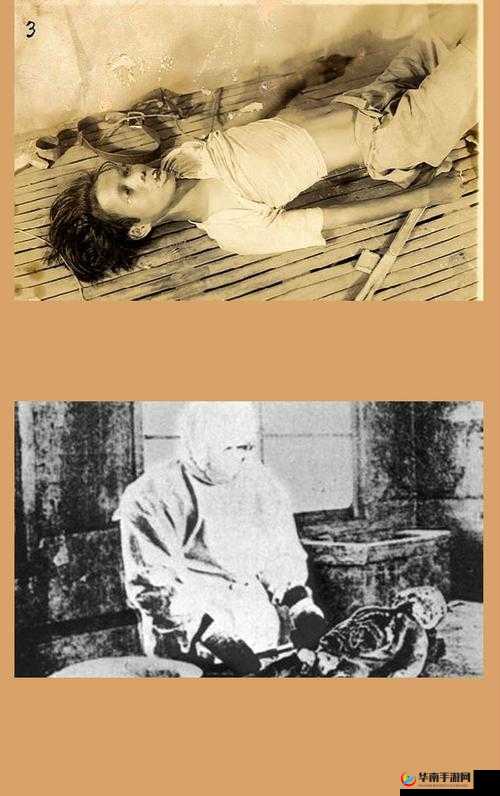 国产嘼皇 bestiality：国产兽皇的传奇故事