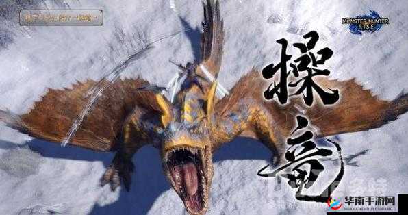 怪物猎人崛起操龙撞墙技巧详解：操作指南与实战应用