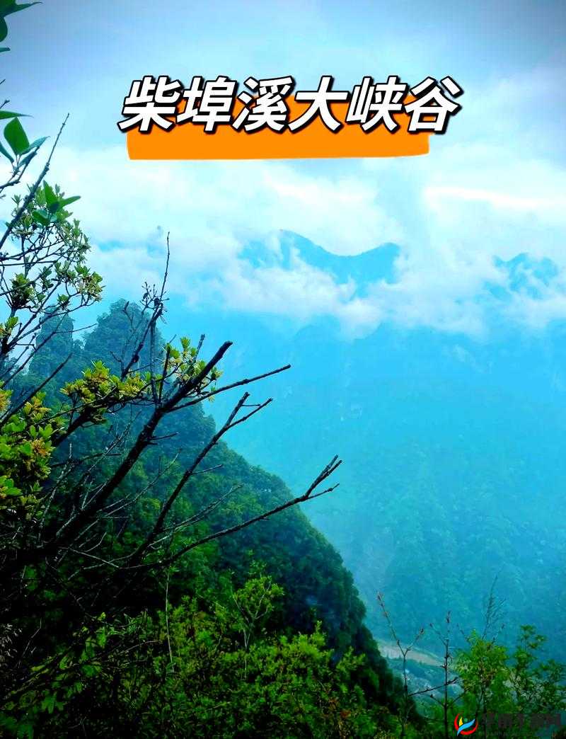 抖阴旅行射张家界董小宛：探秘仙境之旅