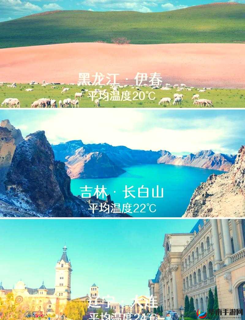 伊春园 2024 入口直达：畅享无限精彩