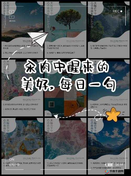 每天都在汆肉中度过：生活的独特滋味