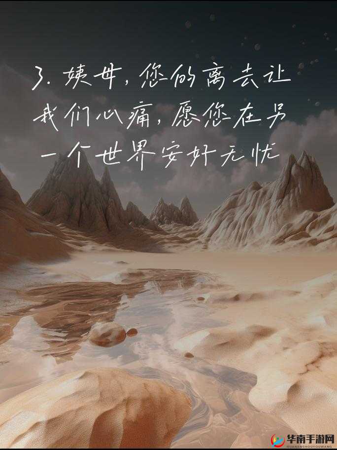 在姨母家的遗憾：那些未实现的梦