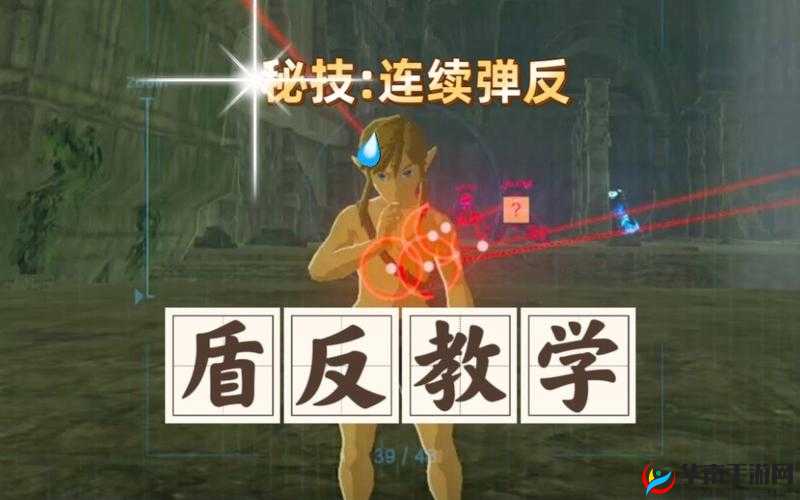 盐反秘技：盾反方法深度解析