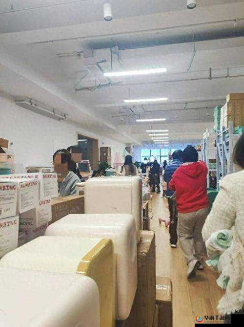 嫖妓大人金先生：独特视角解读他
