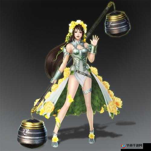 无双大蛇3关银屏角色图鉴：武将背景大揭秘