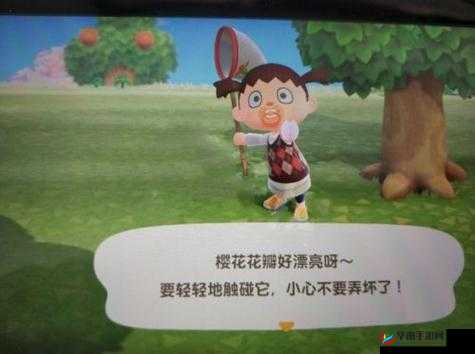 Switch动物之森樱花瓣获取攻略：如何收集樱花花瓣
