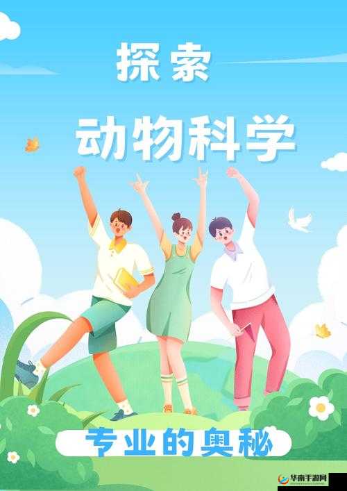 Y 液体系统 xi：探索其奥秘与应用