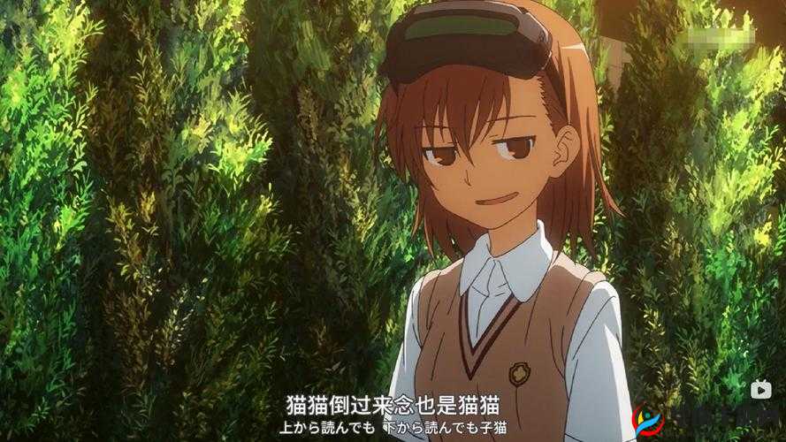 魔法禁书目录中御坂妹妹角色解析，资源管理重要性及高效利用策略探讨