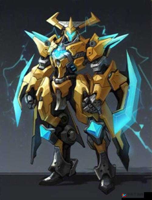 狂战士的荣耀，神龙武士中不朽守护者的传奇使命与英勇事迹