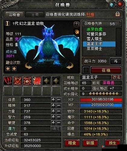 神鬼传奇手游深度解析，水瓶座召唤兽在资源管理中的核心作用与实战策略