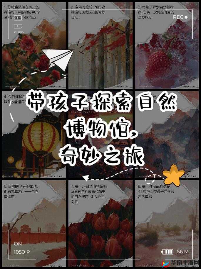 深度交流会 Banggi 哇答 4：探索思想碰撞的奇妙之旅
