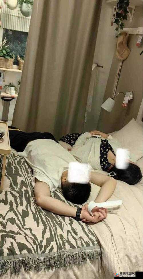 两个人生猴子不盖被子：一段令人深思的奇特经历