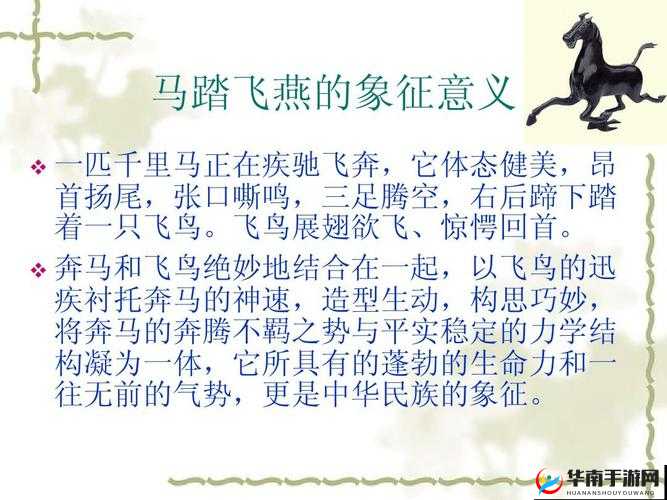 奔马不踏飞燕改行捣辣：一场独特的转变与探索之旅