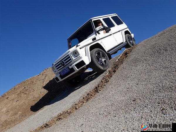 497799 欧洲版的国产 SUV 有何特点：深度解析与全方位洞察
