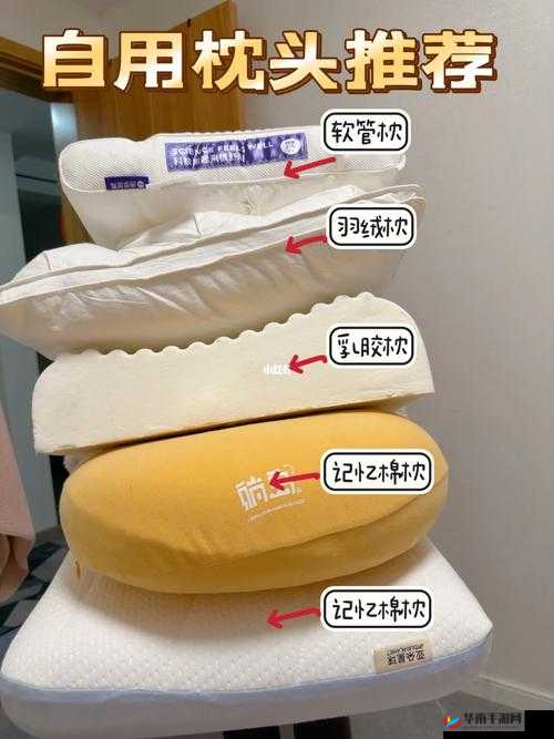 自 W 到高 C 的教程夹枕头：实用技巧与心得分享全解析