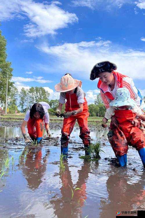 夫妻一百种插秧方法：探究农耕生活中的劳动智慧与情感交流